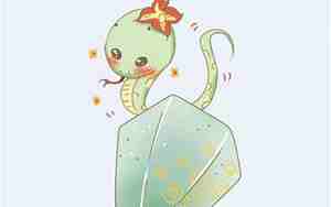 属蛇1965年出生人死于