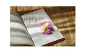 女生励志的网名2018最新版