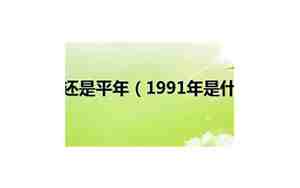 1991年是什么命