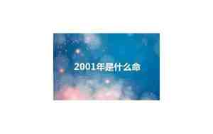 2001年是什么命