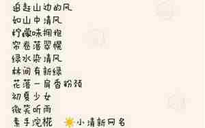 关于帽子的昵称