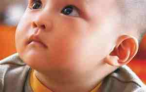 姓吴属马的男孩名字