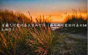 乐观网名,乐观网名女生霸气