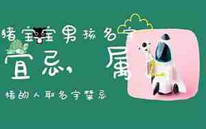 男猪宝宝取名宜用字都有哪些