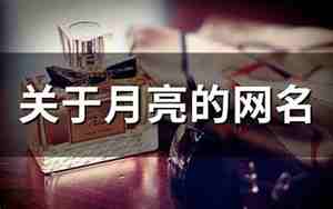 关于月亮的网名超仙女
