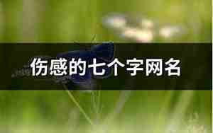 伤感的7字网名大全