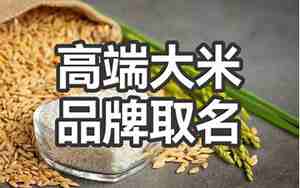 大米取名,大米取名最吉利的寓意