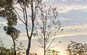 带牛字的网名,带牛字的网名女生版可爱