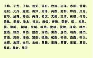 东网名，东网名怎么取