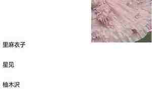 二次元日系网名，二次元日系网名男生