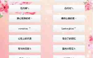 2字个性qq网名大全，个性qq网名大全女