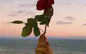 微信字母网名女生简单气质