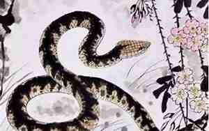 1977年属蛇是什么命金木水火土