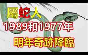 1989年蛇是什么命