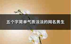 一个字网名男生，一个字网名男生简单气质