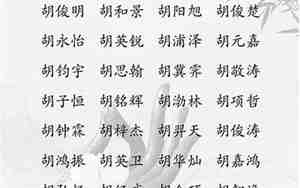 姓胡鼠年男孩名字首选