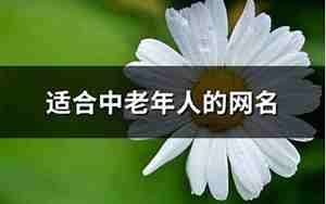 网名适合老年年女