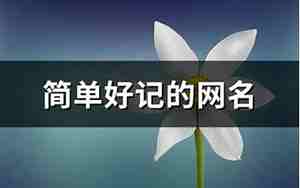 容易记的网名2个字