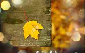 乐的网名,寓意健康快乐的网名大全