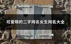 二字网名女生唯美简单