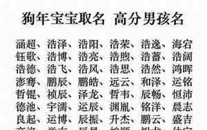 208年狗年宝宝名字，208年狗年宝宝名字大全