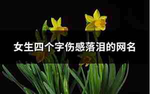 好听的伤感网名4个字女生