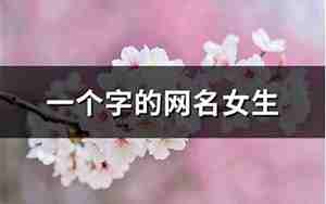 一个字的网名女生专用