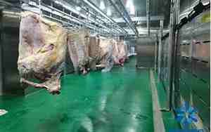 肉类冷库需要的设施设备