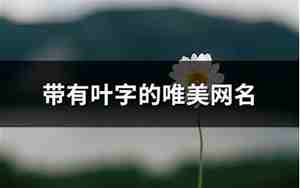 关于叶字的网名大全