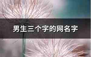 三个字的男网名 有诗意