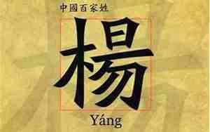 2011杨姓牛宝宝名字，2011杨姓牛宝宝名字大全