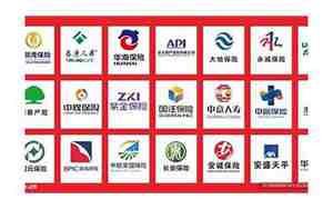 1开头的保险公司保单