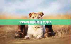 06年属狗的是什么命五行缺什么