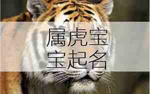 姓罗属虎男孩叫什么名字好听