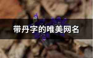 丹字的网名怎么起好听