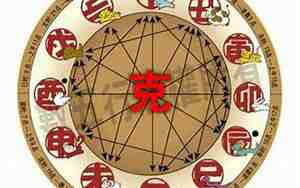 1981年五行属什么命