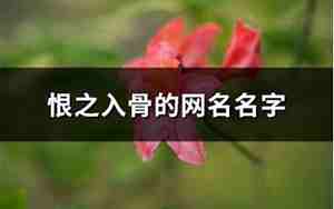 痛恨一个人的网名伤感网名