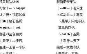 九网名,九网名什么意思啊