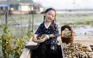 姓华的有什么名字比较好?