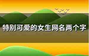 两个字qq网名女生超拽霸气