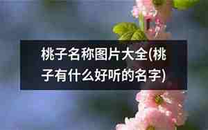 关于桃子的好听的名字,关于桃子的好听的词语是什么