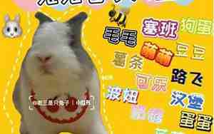 兔兔网名大全带符号