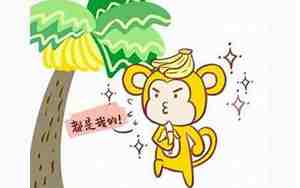 2016年猴是什么命