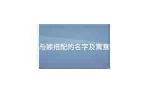 与颖字搭配的女孩名字