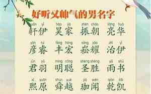 五行缺金名字男孩猪宝宝，五行缺金名字男孩猪宝宝取名