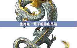 64年的龙是什么命