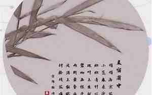 关于竹的网名有哪些