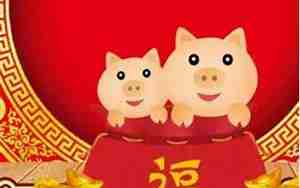 猪年宝宝的名字