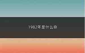 1982年是什么命