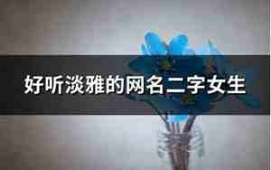 二个字的网名大全